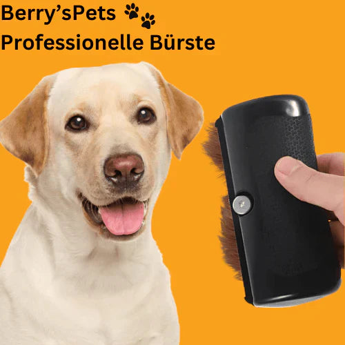 Professzionális Állatkefe Kutyáknak és Macskáknak | Hatékony Szőrzetápolás, Kényelmes Használat 🐕🐈