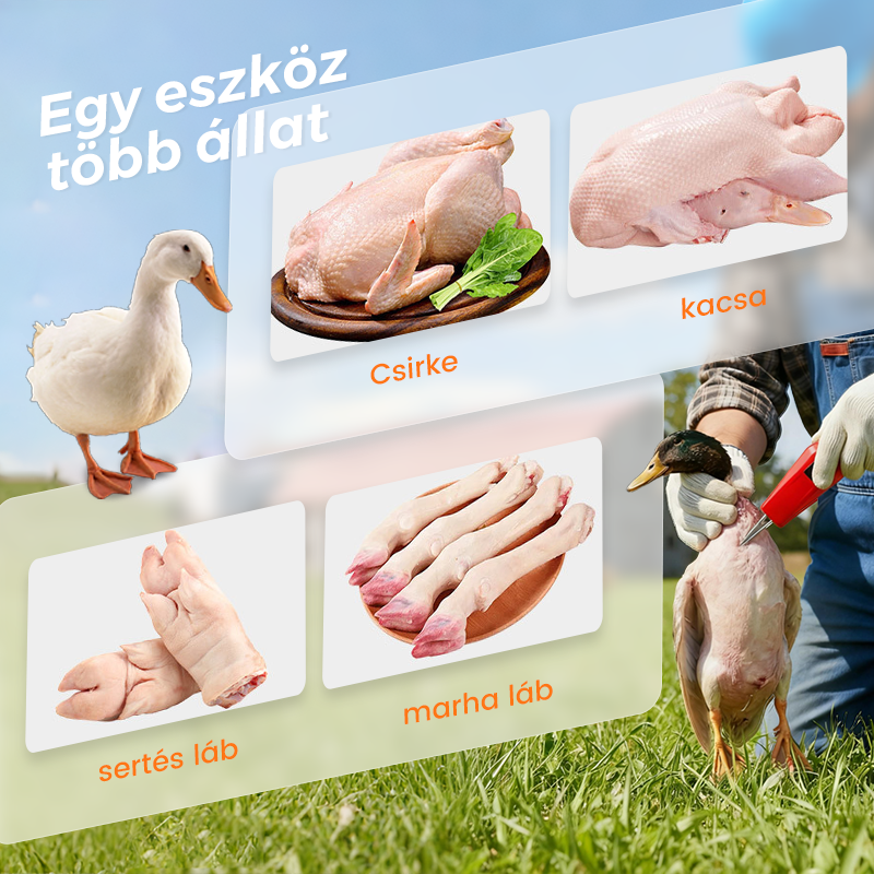 🦆🔥 2026 legkeresettebb termékei! Baromfi elektromos kopasztógép – könnyű kopasztás, időt és energiát takarít meg! 🐓⚡ Percek alatt tiszta, sima bőr. Utánvéttel!