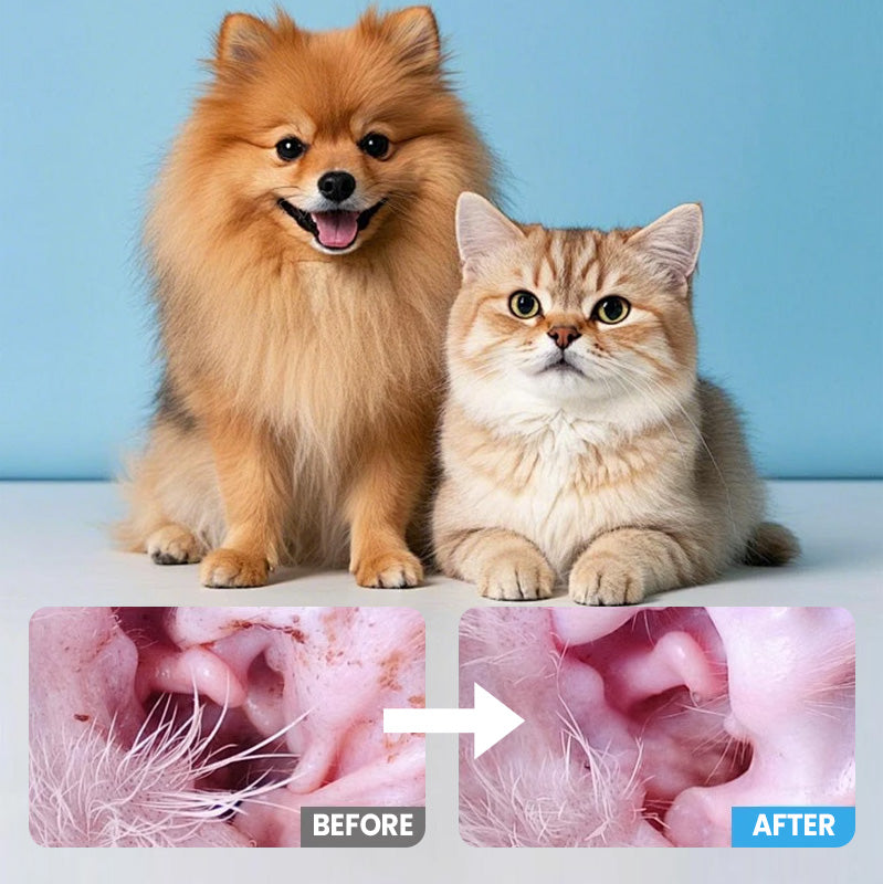 Állatokat Biztonságos Tisztító Vattapálcikák | Gyengéd, Alkoholmentes Öntisztítás Kutyáknak és Macskáknak 🐾✨