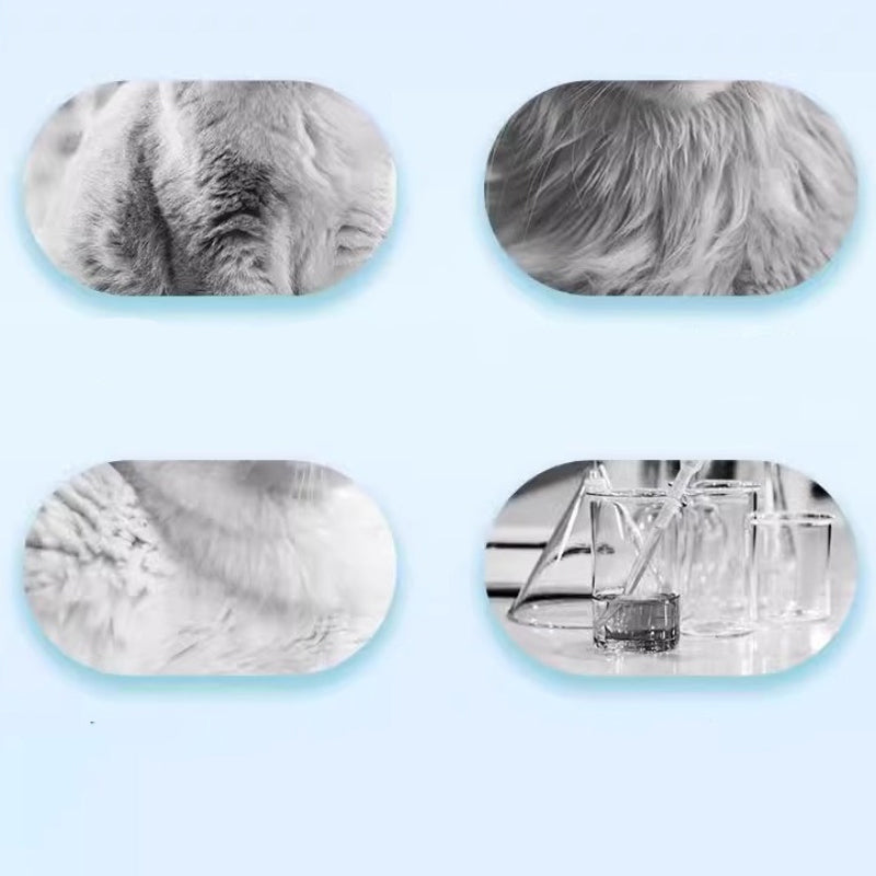 ❄️ Téli Megoldás: Öblítésmentes Kisállat Sampon Hab - Meleg Fürdetés Hideg Időben