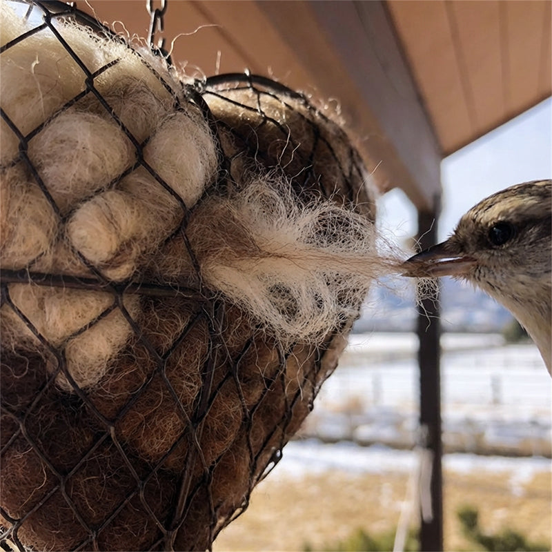 🐦 Biztonságos Fészkelőhely Madaraknak! Kézzel Gyártott Szív Formájú Madárlak | Téli Menedék, Természetes Anyagok - Otthont Ad a Kert Madarainak 🏡❤️