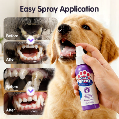 Kutya & Macska Fogápoló Spray | Friss Lehelet, Fogkő Megelőzés - Könnyű Használatú Új Termék Háziállatok Számára