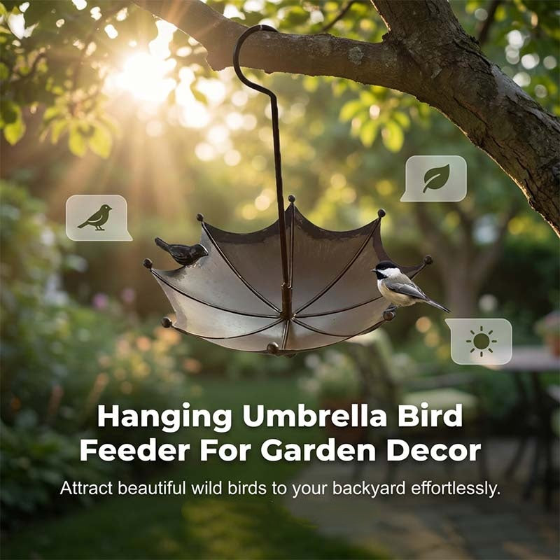 🐦 Függő esernyős madáretető és fürdő – esőben is száraz marad a kaja, madarak kedvence! ☔ Platás utánvéttel!