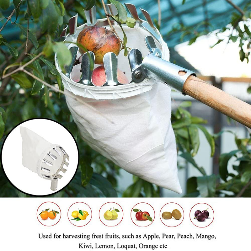 🍎 Gyümölcsszedő Kosár – Puha Betétes | Óvja a Gyümölcsöt Szedés Közben – Praktikus Segédlet Kertbe & Farmra 🧺✨