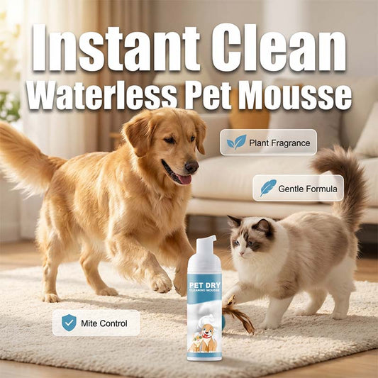 🐶🐱 Vízmentes tisztító hab kutyáknak és macskáknak – fürdés nélkül is friss, tiszta a bunda! 🧼✨ Utánvéttel!