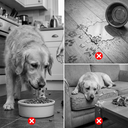 🐾🐶 Gurítós labdás lassú etető tál kutyáknak – falatról falatra, egészséges emésztés, szórakozás közben! 💖 Utánvéttel!