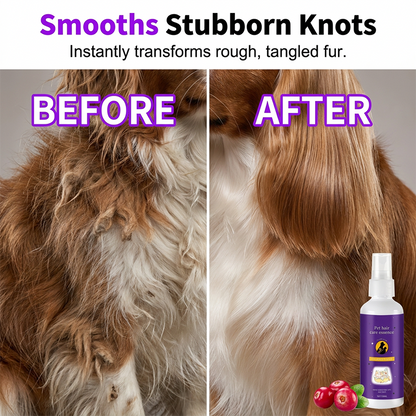 🐾 Gyengéd szőrkibontó spray – fájdalommentes fésülés kutyáknak és macskáknak! ✨ Raktáron, platás utánvéttel!
