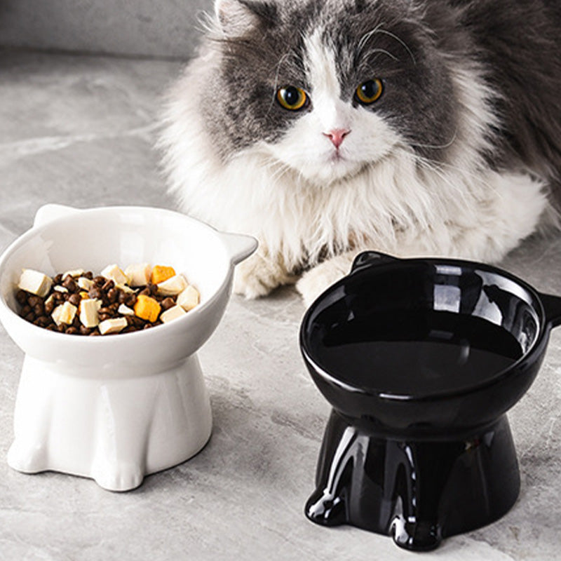 🥣 Ergonómikus, emelt műanyag macskatál – védi a macska nyakát és emésztését, nem csúszkál, könnyen tisztítható! 🐱 Platás utánvéttel!