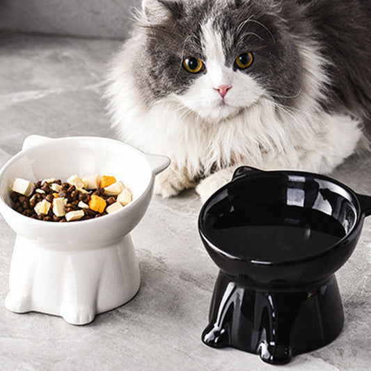 🥣 Ergonómikus, emelt műanyag macskatál – védi a macska nyakát és emésztését, nem csúszkál, könnyen tisztítható! 🐱 Platás utánvéttel!
