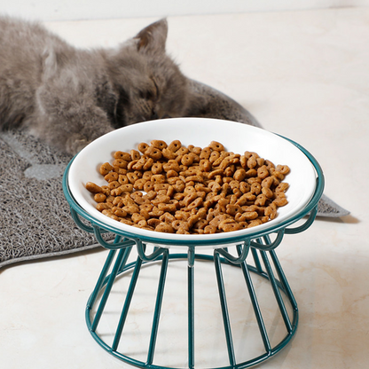 💖 Emelt kerámia macskatál vaskos állvánnyal – kíméletes a nyaknak, nem borul, könnyen tisztítható! 🐱🥣 Platás utánvéttel!