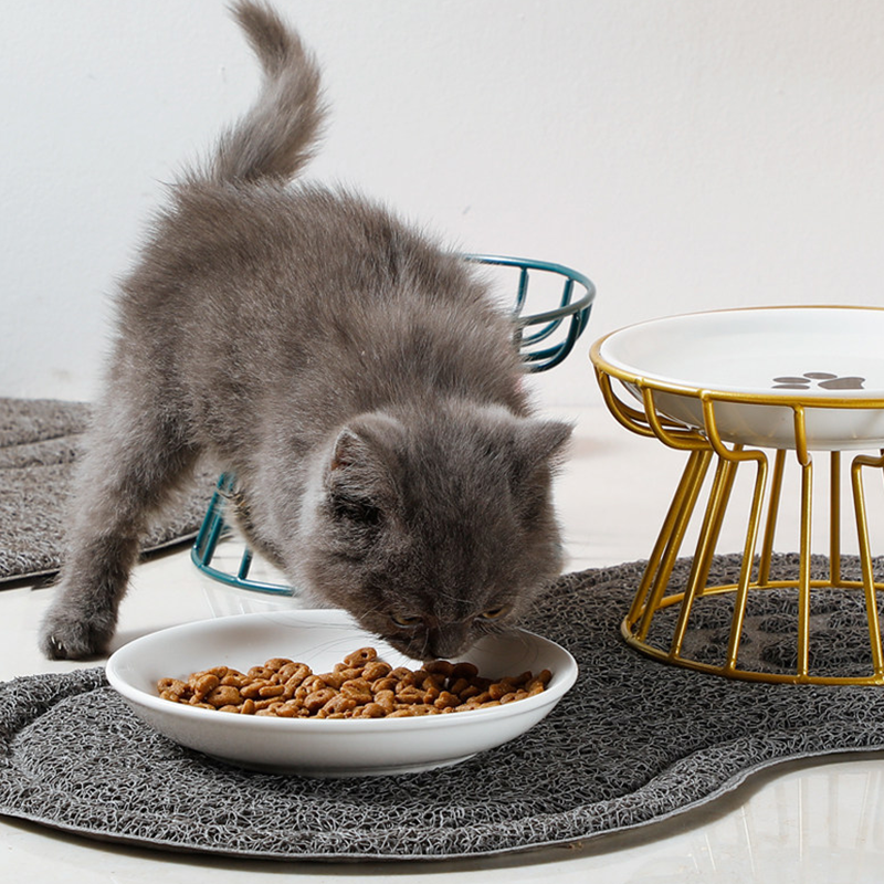 💖 Emelt kerámia macskatál vaskos állvánnyal – kíméletes a nyaknak, nem borul, könnyen tisztítható! 🐱🥣 Platás utánvéttel!