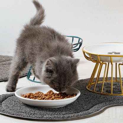 💖 Emelt kerámia macskatál vaskos állvánnyal – kíméletes a nyaknak, nem borul, könnyen tisztítható! 🐱🥣 Platás utánvéttel!